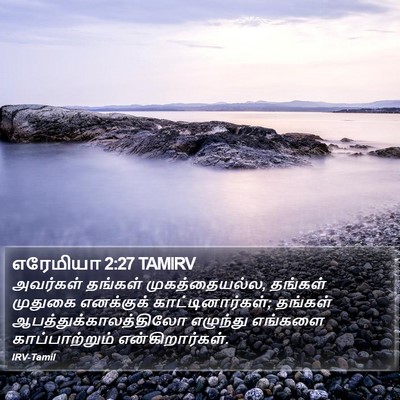 எரேமியா 2:27 TAMIRV Bible Verse Image