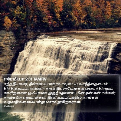 எரேமியா 2:31 TAMIRV Bible Verse Image