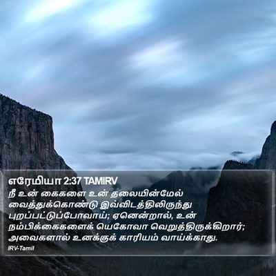 எரேமியா 2:37 TAMIRV Bible Verse Image