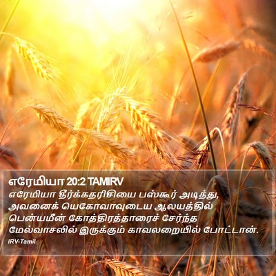 எரேமியா 20:2 TAMIRV Bible Verse Image