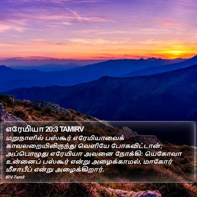 எரேமியா 20:3 TAMIRV Bible Verse Image