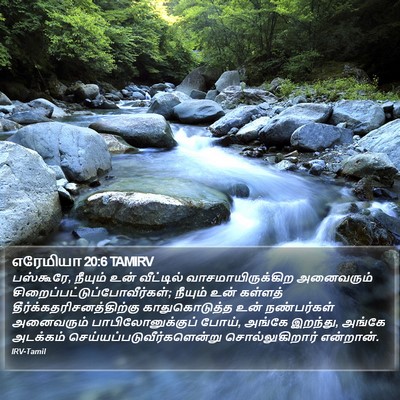 எரேமியா 20:6 TAMIRV Bible Verse Image