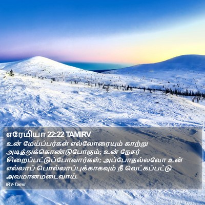 எரேமியா 22:22 TAMIRV Bible Verse Image