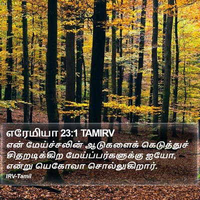 எரேமியா 23:1 TAMIRV Bible Verse Image