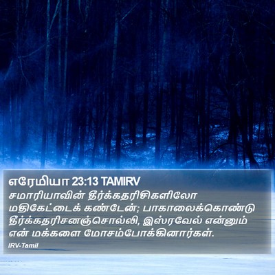 எரேமியா 23:13 TAMIRV Bible Verse Image