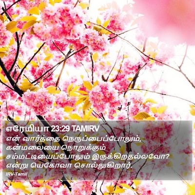 எரேமியா 23:29 TAMIRV Bible Verse Image