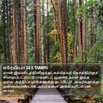 எரேமியா 24:5 TAMIRV Bible Verse Image
