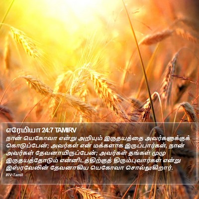 எரேமியா 24:7 TAMIRV Bible Verse Image