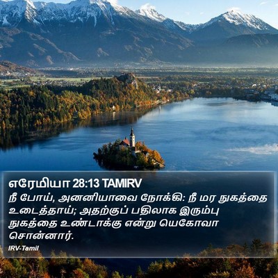 எரேமியா 28:13 TAMIRV Bible Verse Image
