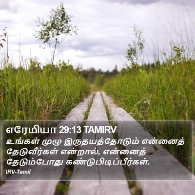 எரேமியா 29:13 TAMIRV Bible Verse Image