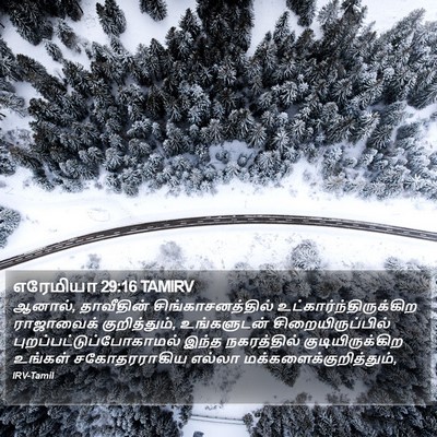 எரேமியா 29:16 TAMIRV Bible Verse Image