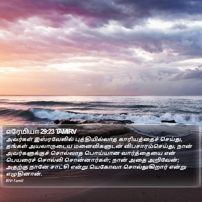 எரேமியா 29:23 TAMIRV Bible Verse Image