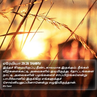 எரேமியா 29:28 TAMIRV Bible Verse Image