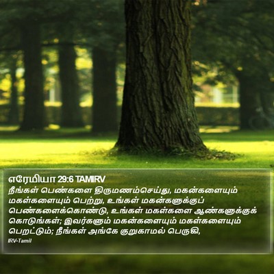எரேமியா 29:6 TAMIRV Bible Verse Image