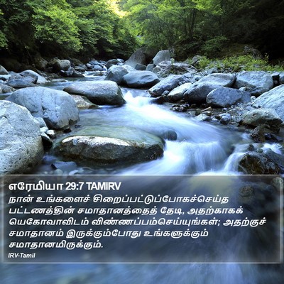 எரேமியா 29:7 TAMIRV Bible Verse Image