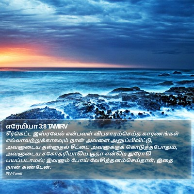 எரேமியா 3:8 TAMIRV Bible Verse Image