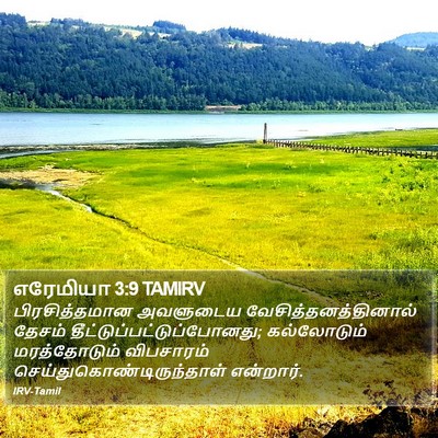 எரேமியா 3:9 TAMIRV Bible Verse Image