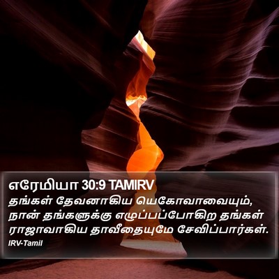 எரேமியா 30:9 TAMIRV Bible Verse Image