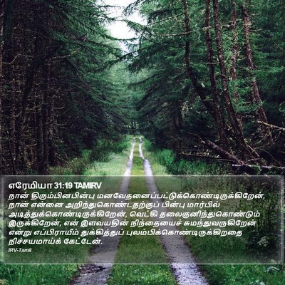எரேமியா 31:19 TAMIRV Bible Verse Image