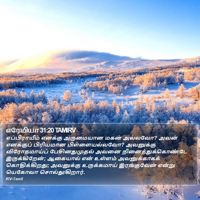 எரேமியா 31:20 TAMIRV Bible Verse Image