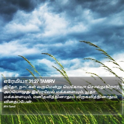 எரேமியா 31:27 TAMIRV Bible Verse Image