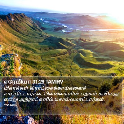 எரேமியா 31:29 TAMIRV Bible Verse Image