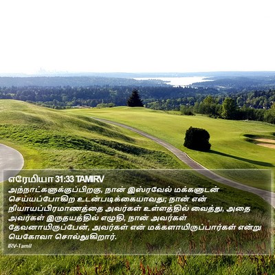 எரேமியா 31:33 TAMIRV Bible Verse Image