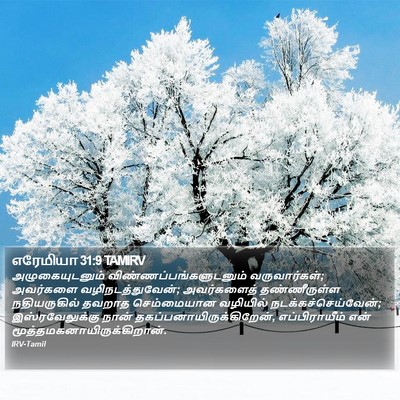 எரேமியா 31:9 TAMIRV Bible Verse Image