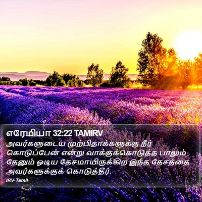 எரேமியா 32:22 TAMIRV Bible Verse Image