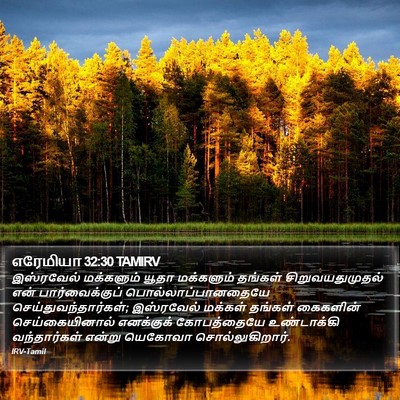 எரேமியா 32:30 TAMIRV Bible Verse Image