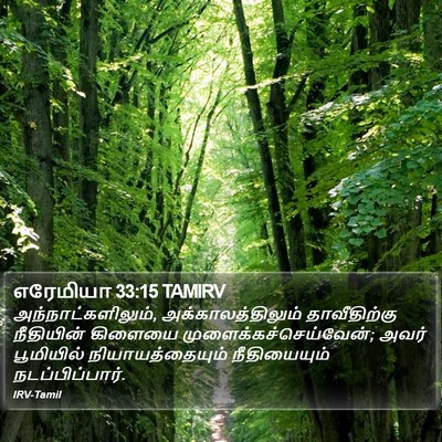 எரேமியா 33:15 TAMIRV Bible Verse Image