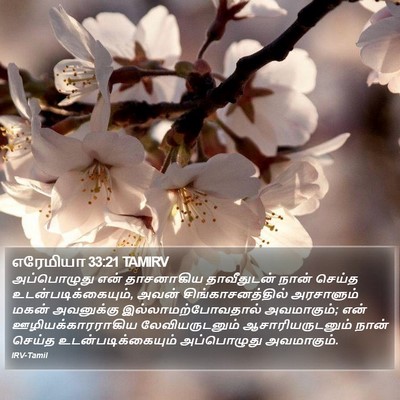 எரேமியா 33:21 TAMIRV Bible Verse Image