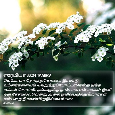 எரேமியா 33:24 TAMIRV Bible Verse Image