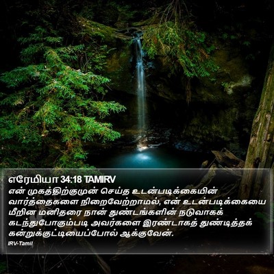எரேமியா 34:18 TAMIRV Bible Verse Image