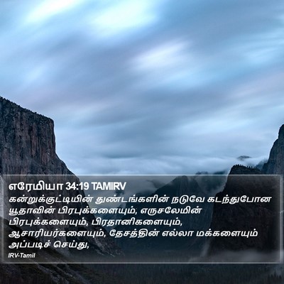 எரேமியா 34:19 TAMIRV Bible Verse Image