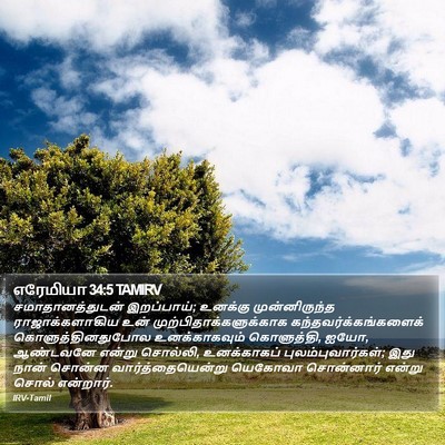 எரேமியா 34:5 TAMIRV Bible Verse Image