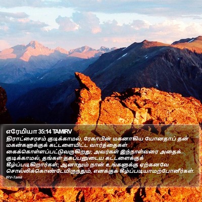 எரேமியா 35:14 TAMIRV Bible Verse Image