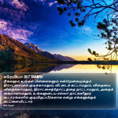 எரேமியா 35:7 TAMIRV Bible Verse Image