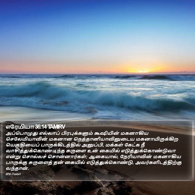 எரேமியா 36:14 TAMIRV Bible Verse Image
