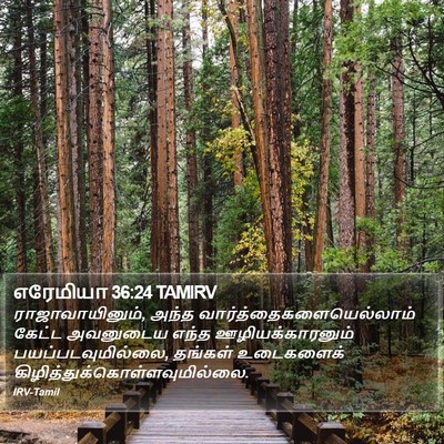 எரேமியா 36:24 TAMIRV Bible Verse Image