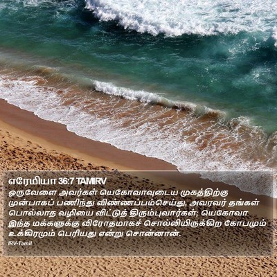 எரேமியா 36:7 TAMIRV Bible Verse Image