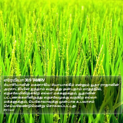 எரேமியா 36:9 TAMIRV Bible Verse Image