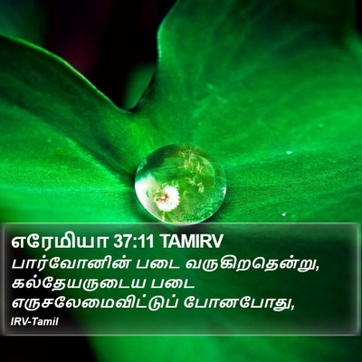 எரேமியா 37:11 TAMIRV Bible Verse Image