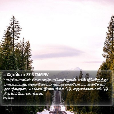 எரேமியா 37:5 TAMIRV Bible Verse Image