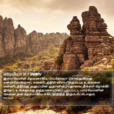 எரேமியா 37:7 TAMIRV Bible Verse Image