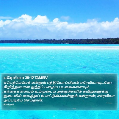 எரேமியா 38:12 TAMIRV Bible Verse Image