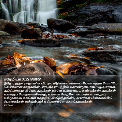 எரேமியா 38:22 TAMIRV Bible Verse Image