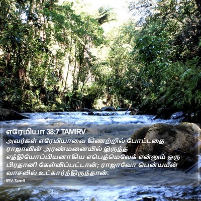 எரேமியா 38:7 TAMIRV Bible Verse Image