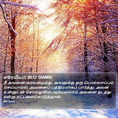எரேமியா 39:12 TAMIRV Bible Verse Image