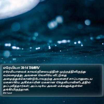எரேமியா 39:14 TAMIRV Bible Verse Image